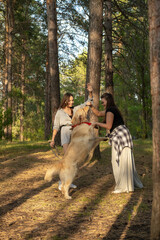 Two girls are walking with retriever dog in the pine forest