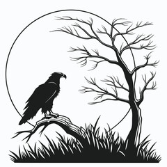 Eagle in sunrise sky silhouette
