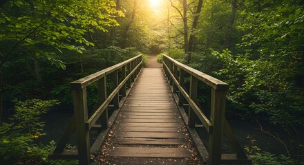 Wooden bridge in a lush forest with sunlight and green foliage