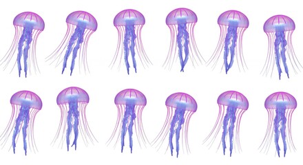 Beautiful purple and pink jellyfish pattern