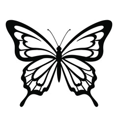 Elegant black and white butterfly illustration isolated on white background.