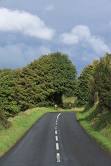 Road in rural Ireland bordered by greeney underneath cloudy skies