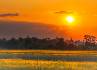 Fototapeta premium ​A stunning sunset over a picturesque rural field. Warm rays of light illuminate the wheat stalks, creating a magical atmosphere. Village houses and trees are visible on the horizon, adding a sense of