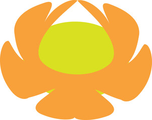 vector illustration of an orange fruit