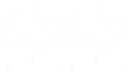 Snowflake delicate and ephemeral beauty captured against a pristine backdrop transparent background