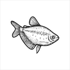 Fototapeta premium Hand drawn sea fish. Underwater world. Vector illustration