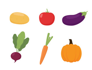 Set of vegetables: potatoes, carrots, tomatoes, eggplant, beetroot, pumpkin on a white background.