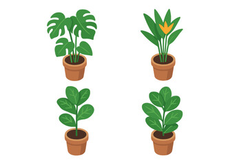 Indoor plant icon set. Isometric houseplant vector collection. Potted tropical plants monstera deliciosa, bird of paradise, fiddle leaf fig. Botanical flat design illustration.