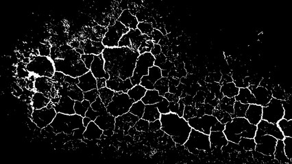 Abstract black and white image featuring a cracked, textured surface.  The pattern resembles dry earth or a weathered material, offering a sense of decay or age