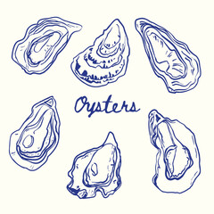 Minimalist hand drawn oyster illustration. Vector of oysters in doodle style. Objects isolated on color background. 
