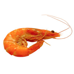 boiled crawfish on white background