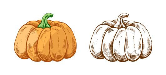 Hand drawn vintage sketch of pumpkin vegetable with green stem in colored and monochrome version seamless pattern isolated vector illustration