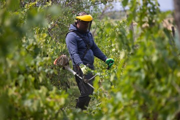 Farmer working in the vineyard with protection suit.