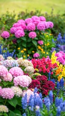 Obraz premium Vibrant flowerbeds in full bloom