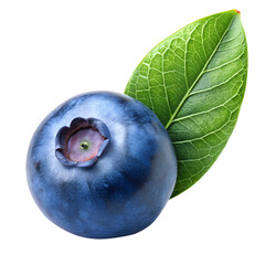 Obraz premium A single, plump blueberry with its characteristic bloom and a vibrant green leaf, isolated on a transparent background