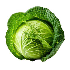 Fototapeta premium Cabbage green round, isolated on white and transparent background.