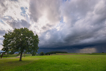 Lone tree under a thunderous cloudy sky in an open green field in the countryside of Bavaria, Germany.