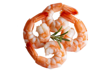 Gourmet cooked shrimp platter with fresh rosemary sprigs for culinary presentation transparent background