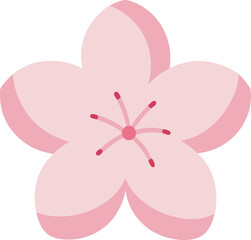 pink flower on white background