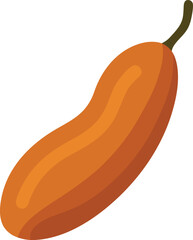 vector illustration of a carrot