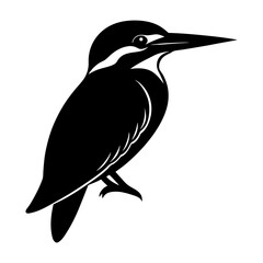 Illustration of a black and white kingfisher bird perched on a branch