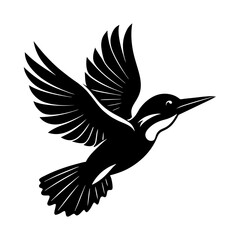 Illustration of a black and white bird in flight with detailed wings