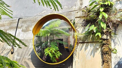 A closeup shot of a convex safety mirror, road safety concept.