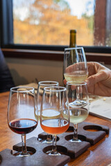 Wine tasting the local Chardonnay, Rose, Shiraz, Sauvignon Blanc and at the cellar door of a winery in Pemberton, Western Australia