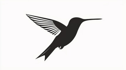 Obraz premium Hummingbird vector icon. Bird simple isolated sign silhouette.