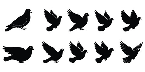 Dove Silhouette Icon Set Vector
