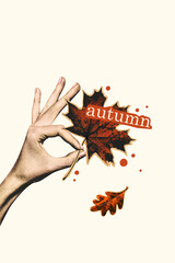 Trend artwork template design collage sketch of hand hold silhouette maple leave outside collage...