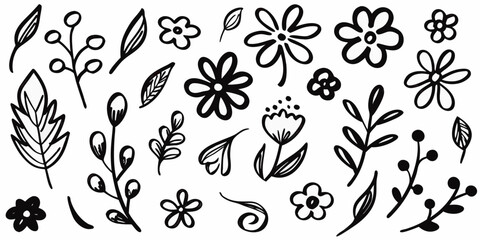 Hand drawn floral elements in black and white for design and decoration