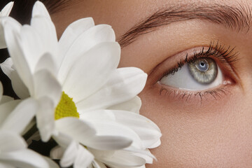 Macro photo of female blue eye with natural makeup, long eyelashes and neat brow, framed by white flower petals. Perfect symbol for skincare, organic cosmetics and beauty spa advertising