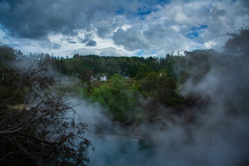 Steam rises through dense native forest in Rotorua, New Zealand, where geothermal pools and hot springs create a surreal, mist-filled landscape under dramatic skies