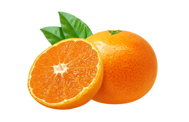 みかんのイラスト リアル ミカン