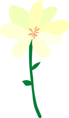 flower isolated on yellow