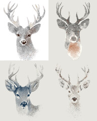 Elegant illustration of deer head portraits with antlers in fine sketch style, symbolizing wildlife, nature, and forest beauty.
