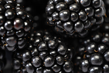 Macro Close-Up of Blackberries – Dark Fruit Texture