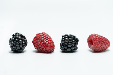 Row of Raspberry and Blackberry on White Background – Front View