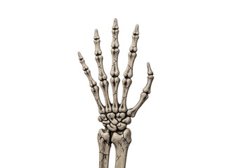 Skeleton hand isolated on transparent background
