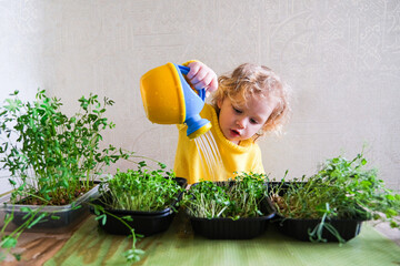 A young girl is watering plants in a garden