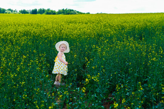 Zaraysk, Russia, 06.07.2024. A young girl is standing in a field of yellow flowers - Powered by Adobe