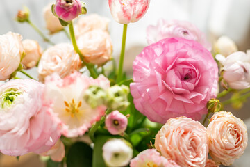 Close-up tender peach and pink ranunculus blossoms glowing gently under soft daylight