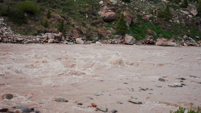 Fast flowing raging Chenab river after heavy rain in Himachal Pradesh, India. Soil and mud is moving towards down with water flow. Flooded river in Manali during monsoon season. 