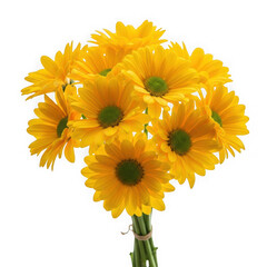 A vibrant bunch of yellow sunflowers with green centers isolated on transparent background
