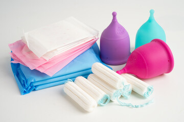 Sanitary hygiene set for women menstrual period cycle protection.