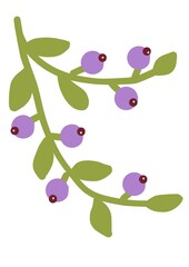 Delicate sprig of berries evokes a sense of peaceful simplicity, perfect for springtime designs, childrens illustrations, or gentle branding.