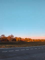 Fototapeta premium Empty countryside road stretching into the distance with autumn trees under a clear blue sky.