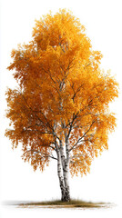 An isolated autumn tree with vibrant foliage in red-orange and gold shades, executed in a modern visual style of 2025. Absolutely clean isolation: floating look, without shadows and reflections, witho