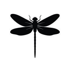 dragonfly on white background